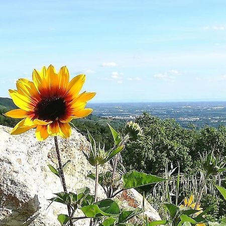 B&B Ca Montemezzano Verona Exteriör bild