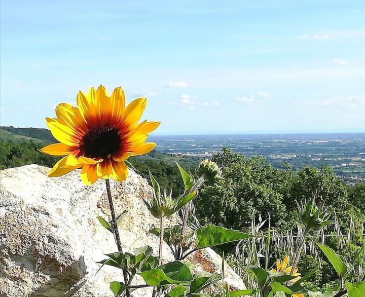 B&B Ca Montemezzano Verona Exteriör bild